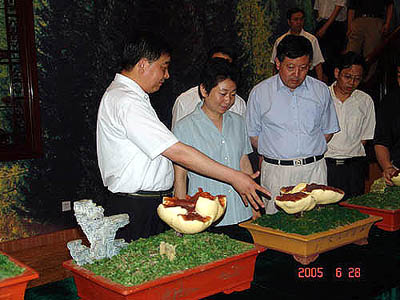 太阳成集团tyc122ccvip(股份)有限公司-官方网站